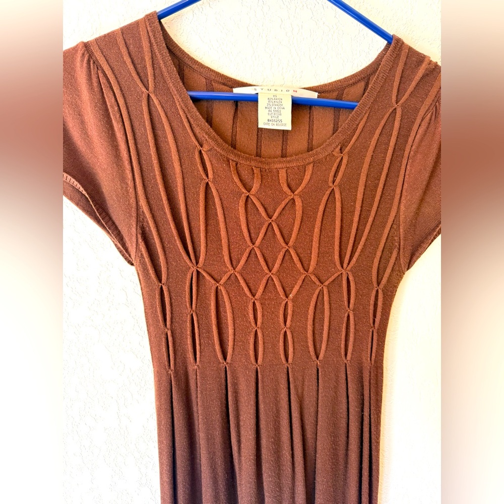 Max Studio Brown Dress